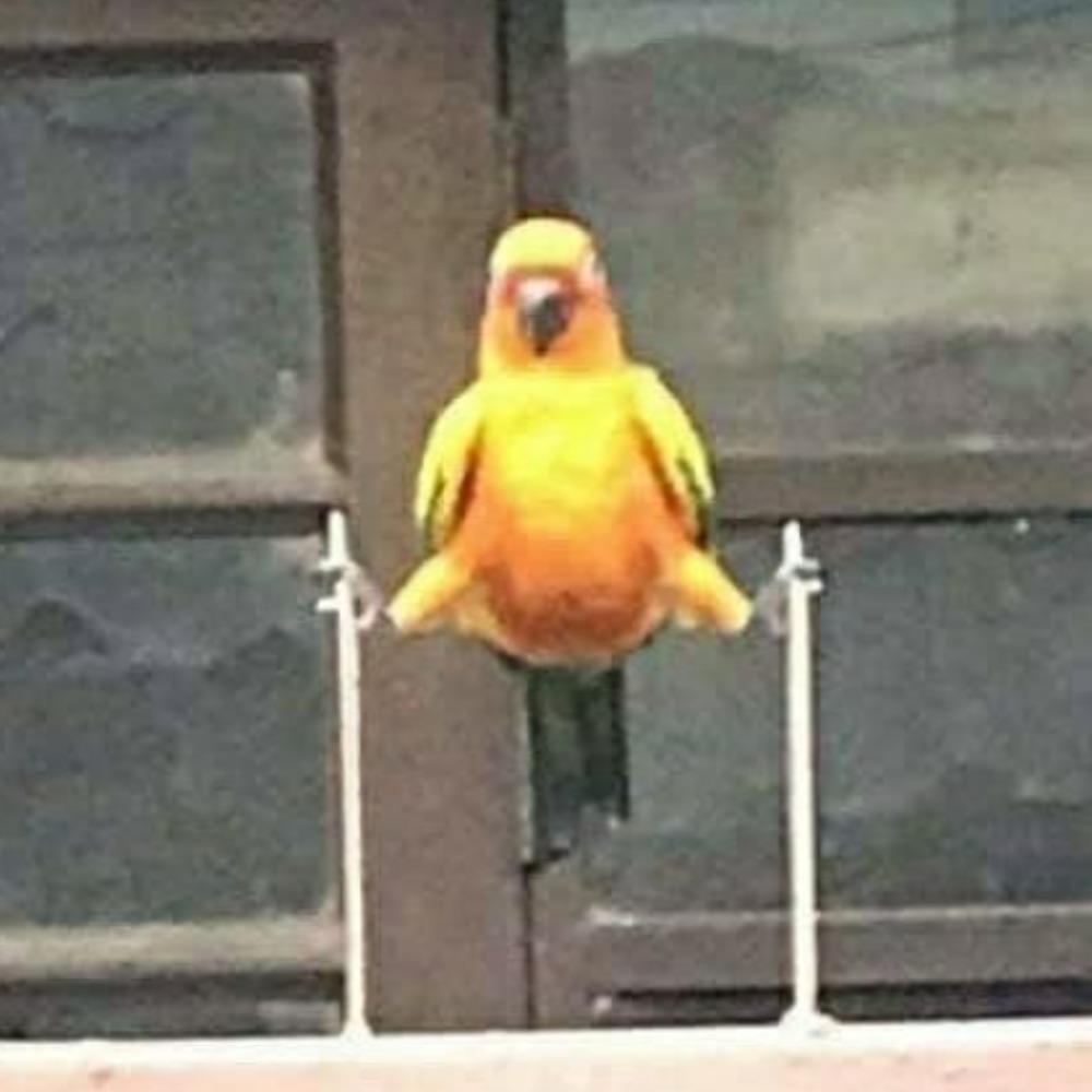 Meet your Posher, Alejandro